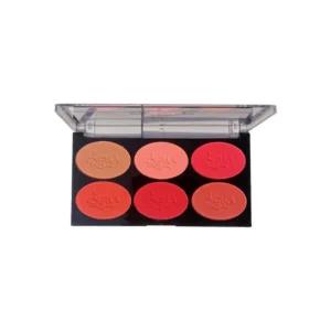 Aqua Color Line 6 Color Blush Palette - 3 Groups