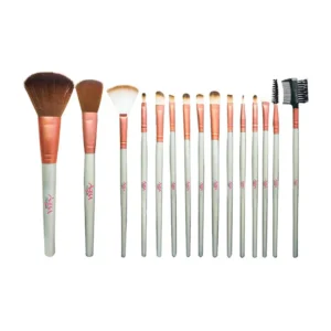Aqua color line 15 pieces Brush Set