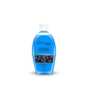 Glamorous Face Purifying & Antioxidant Facial Deep Cleanser - Blueberry